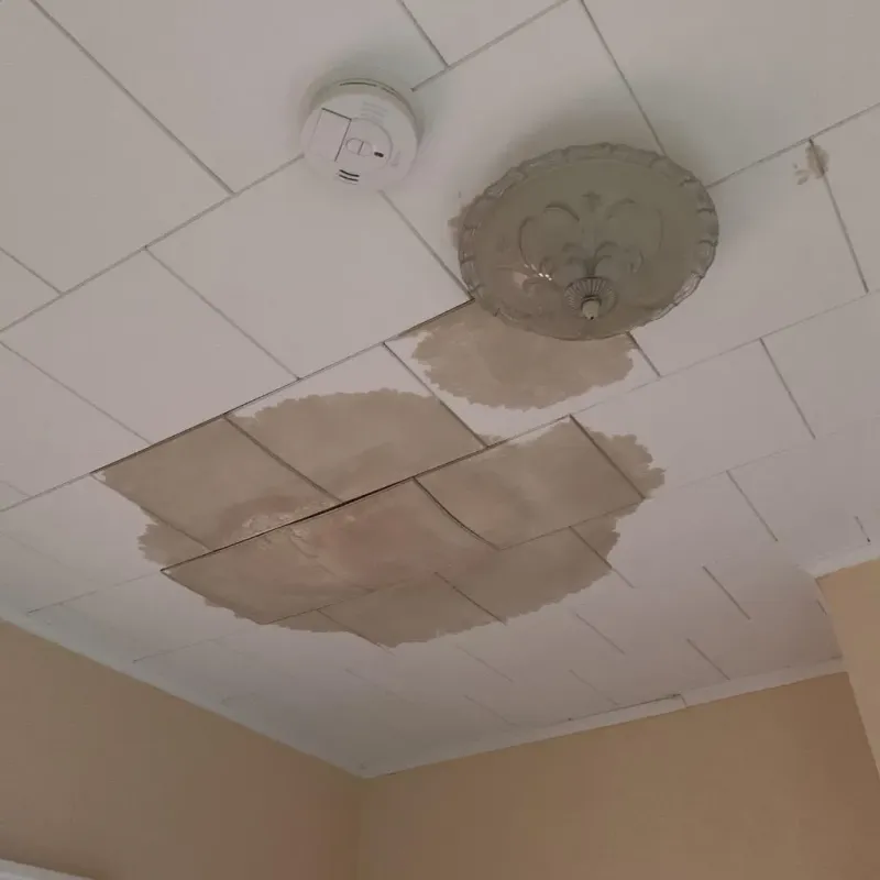 Ceiling Water Damage Repair in University City, MO